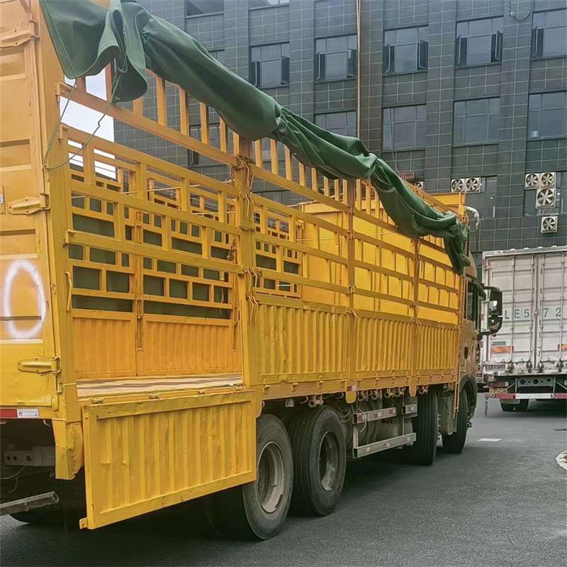 民和县吉安市物流：多元服务与高效运输线路探秘
